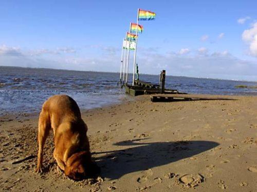 Ferienhaus Cordes, Fewo Vermittlung Nordsee Dangastermoor Exterior foto